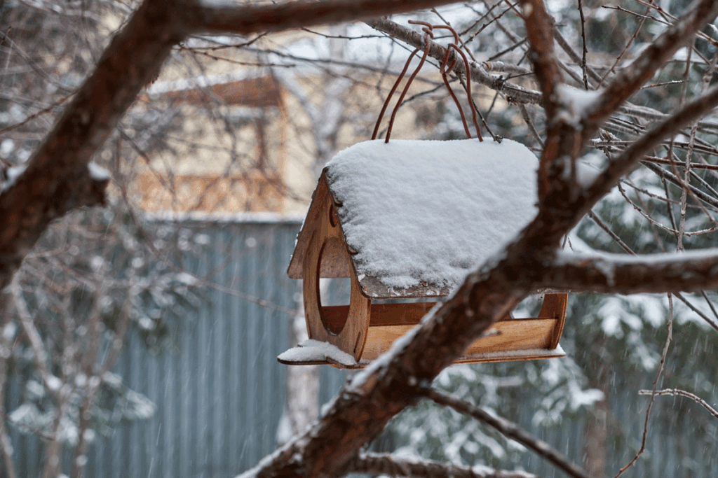 Wees lief voor de vogels in de tuin tijdens de wintermaanden