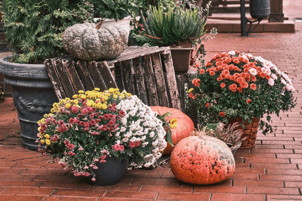 De tuin winterklaar maken, hoe doe je dat?