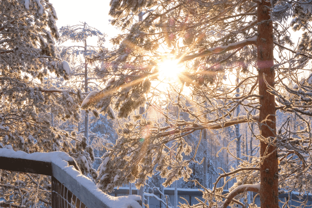 De Warmte van de Winterzon