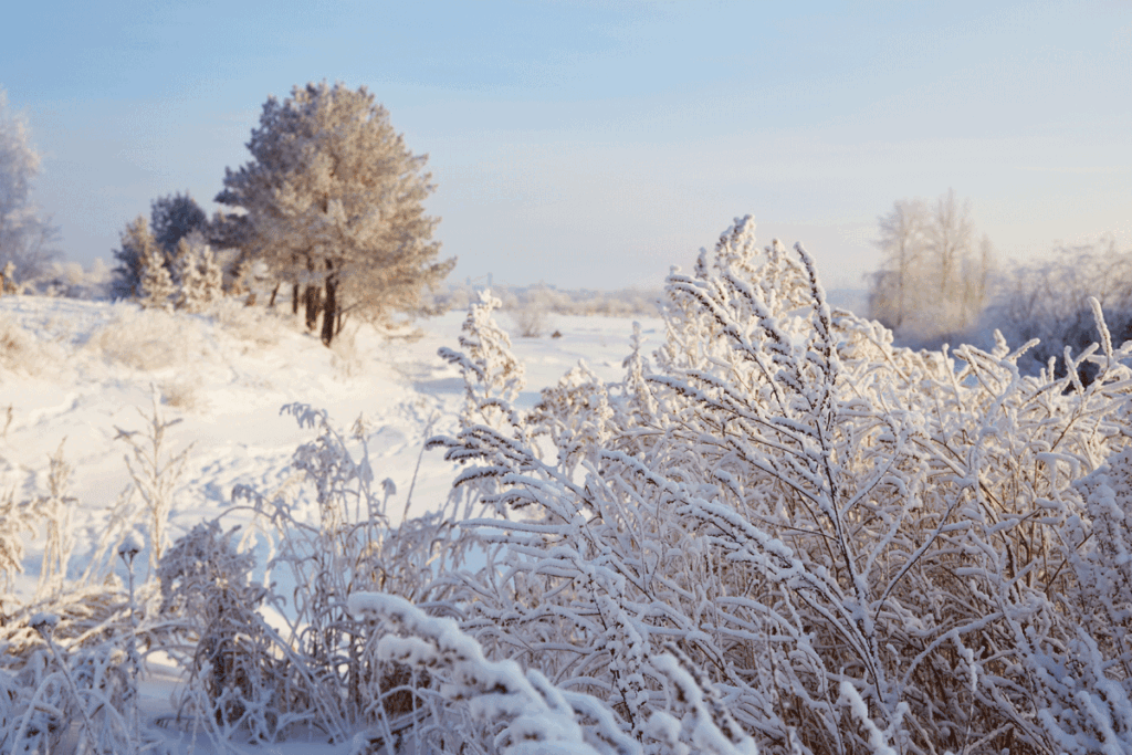 De uitdagingen van dakloosheid in de winter