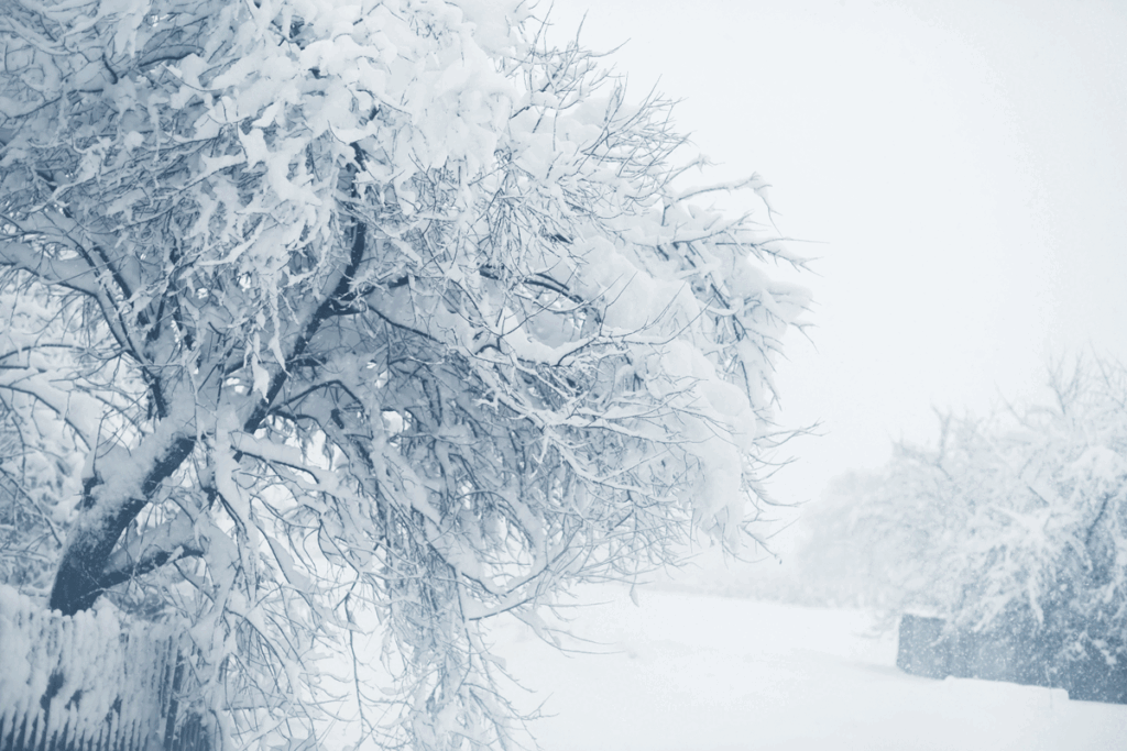 Hoe overleef je koude winters?